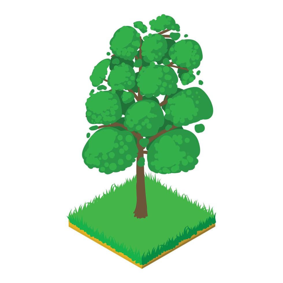 Sassafras icon, isometric style vector