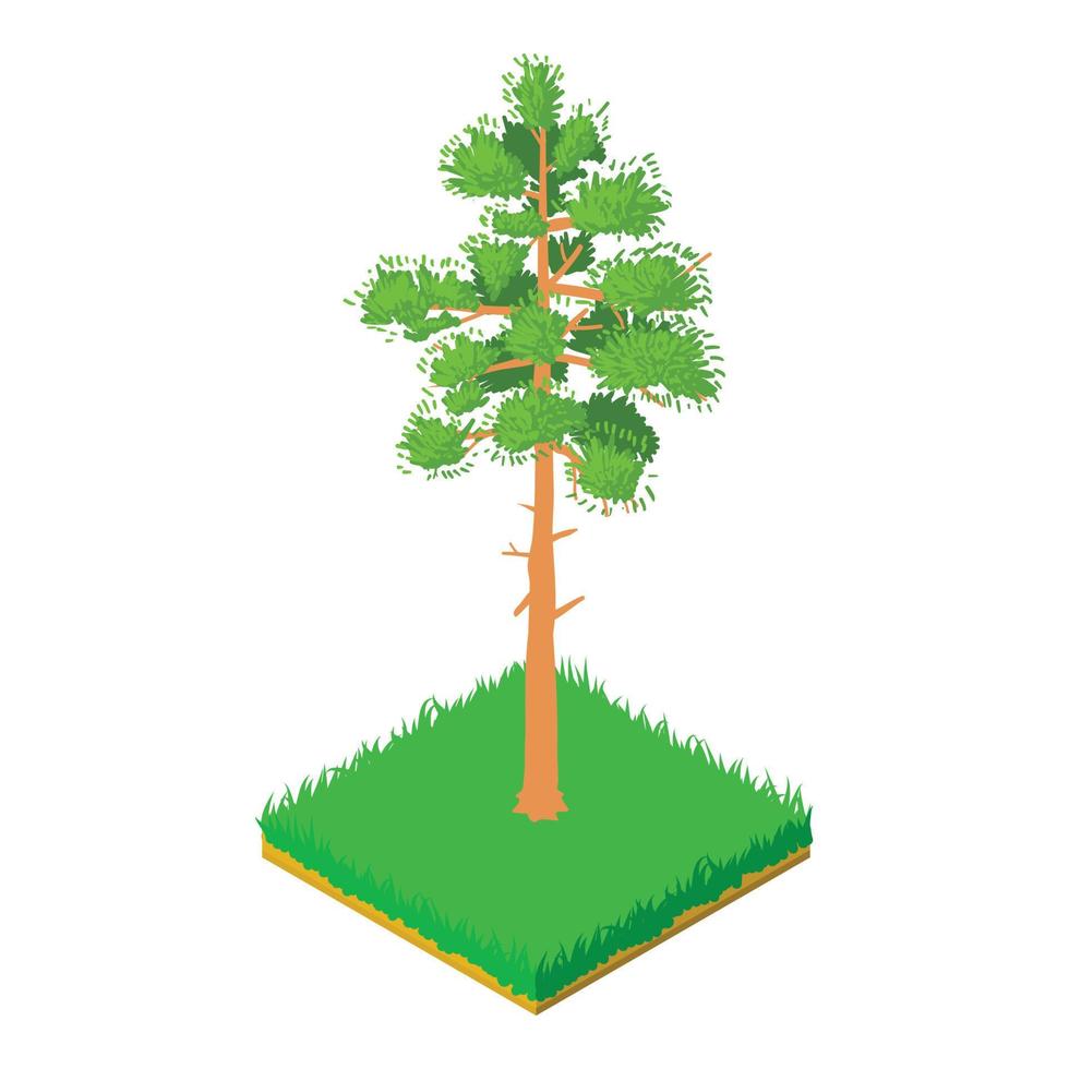 Pine icon, isometric style vector