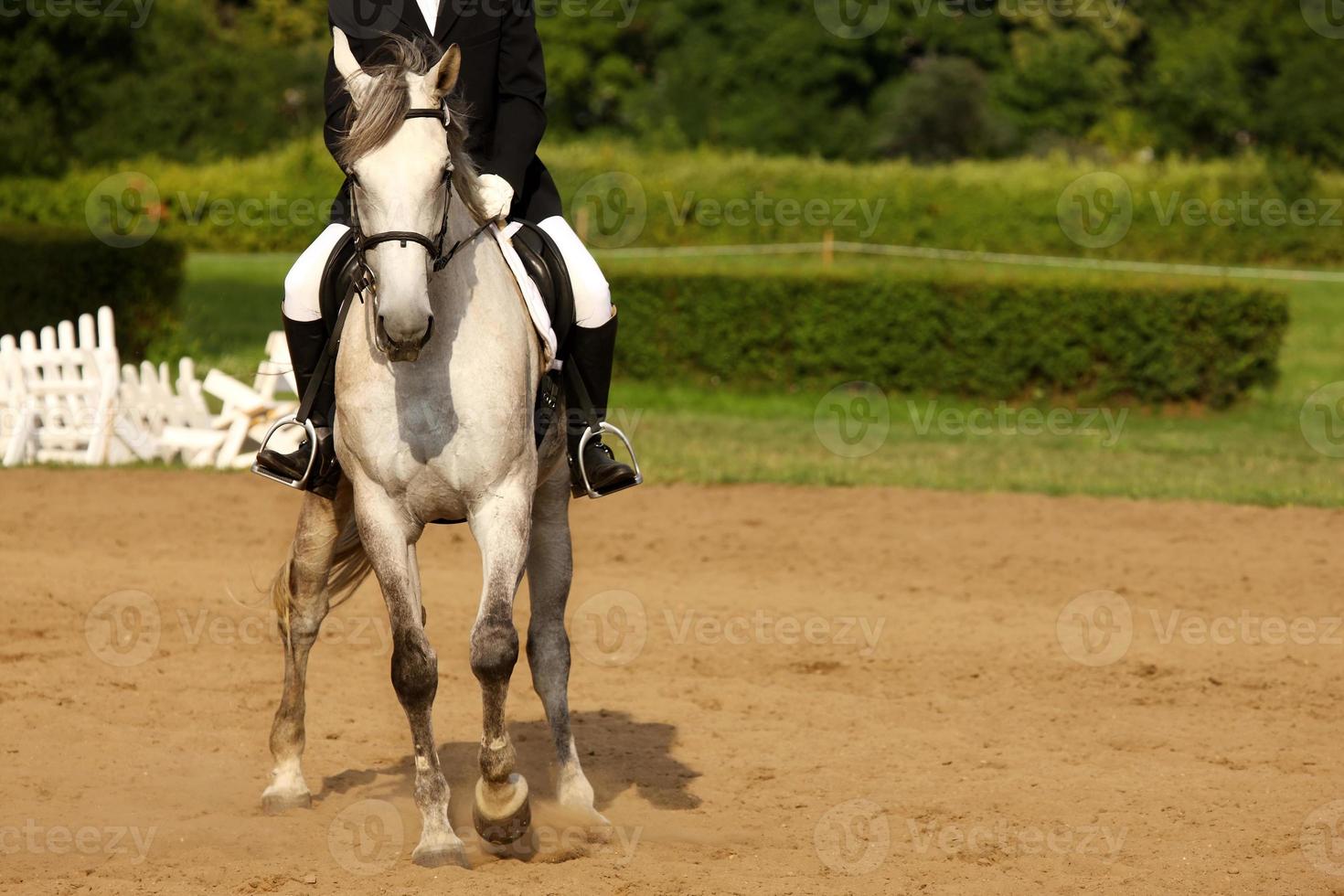 primer plano de montar a caballo foto