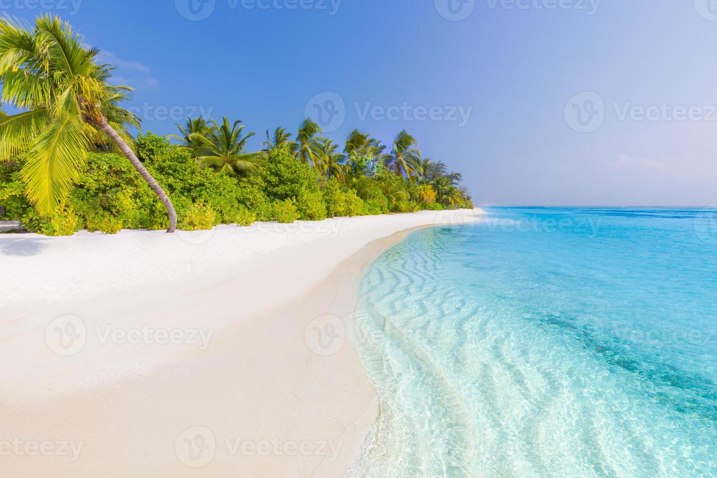 Exotic paradise. Travel, tourism and vacations concept. Palms on tropical beach landscape, luxury resort and infinity blue sea, Maldives island. Amazing, wonderful scenery, summer beach background photo
