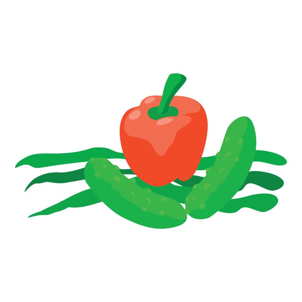 Healthy food icon, isometric style vector