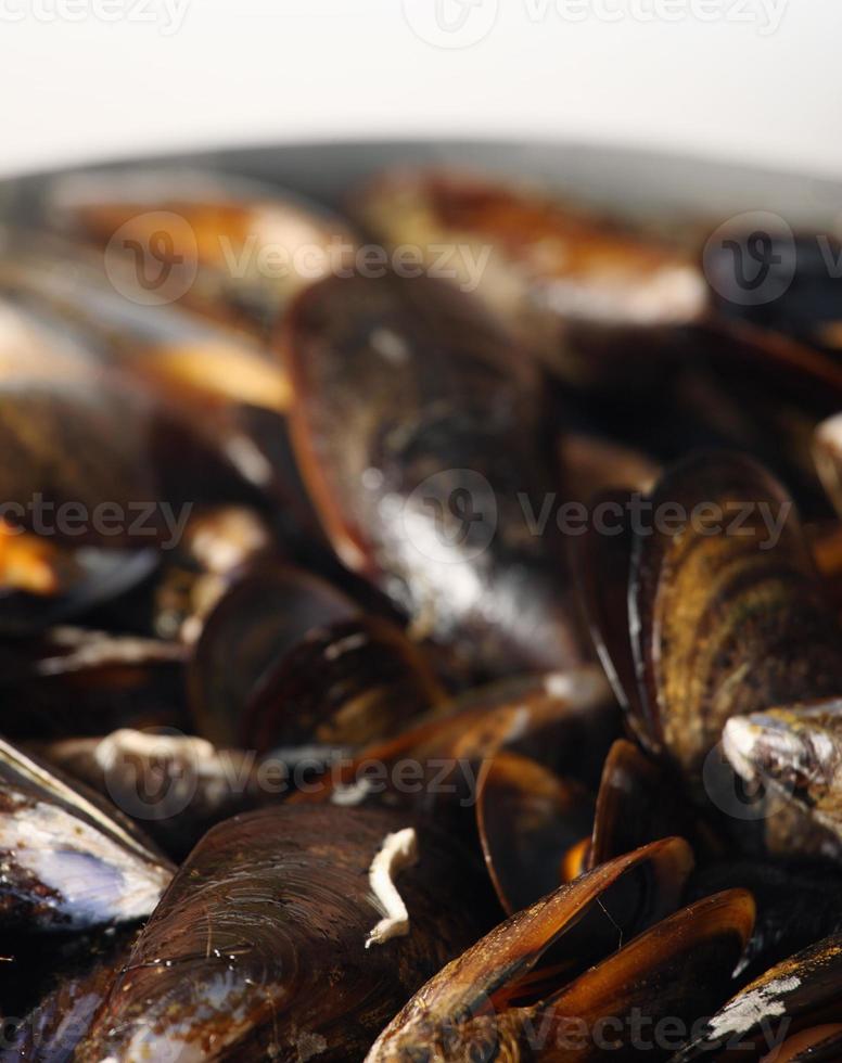 Mussels on a frying pan photo