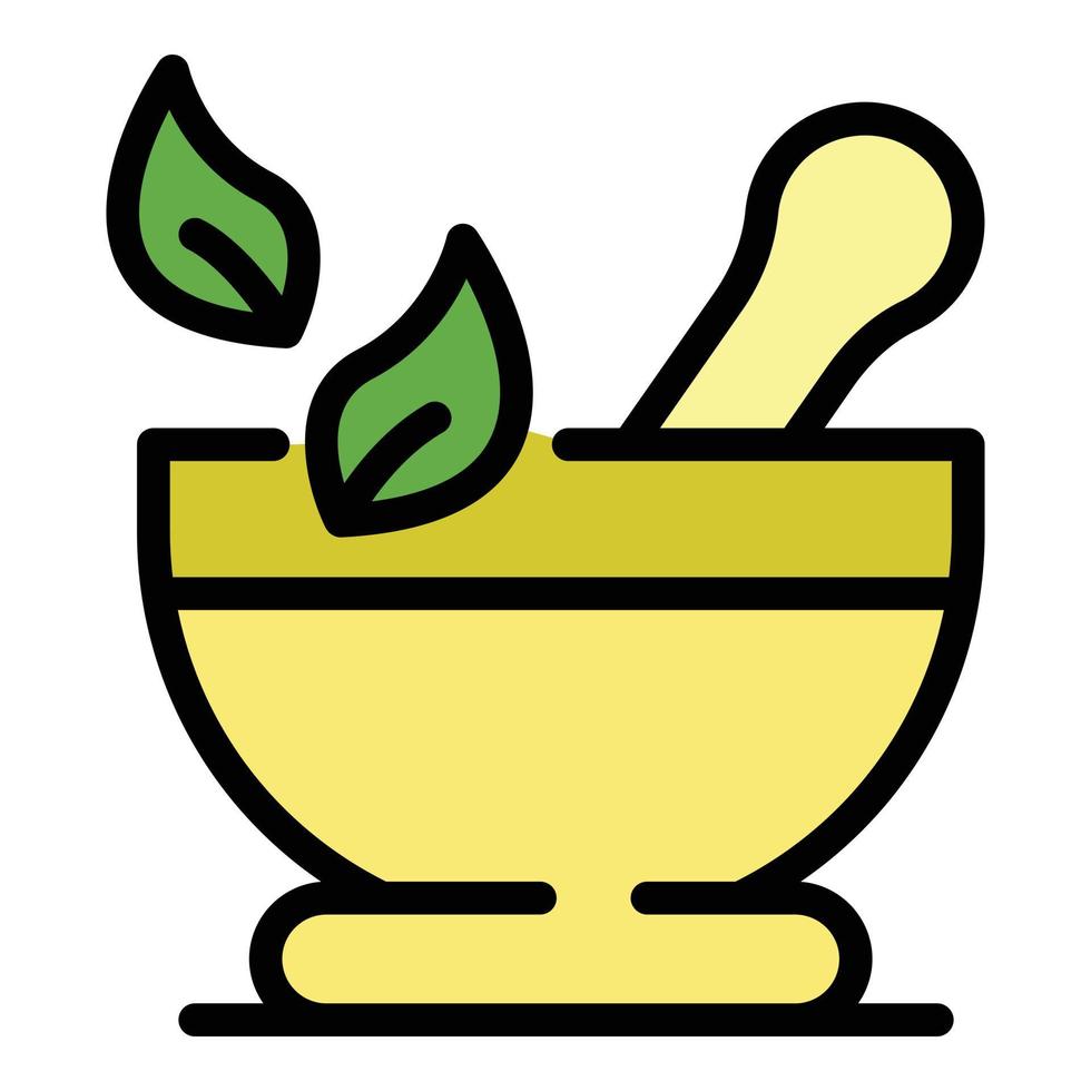 Bowl for grinding herbs icon color outline vector