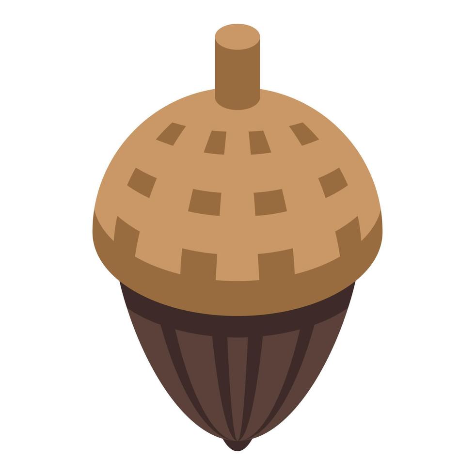 Acorn icon, isometric style vector