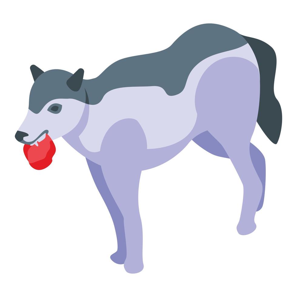 Wolf with meat icon, isometric style vector