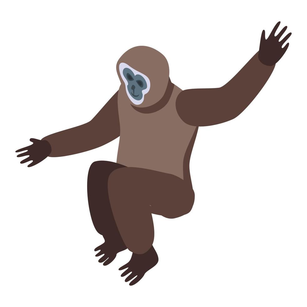 Hanging gibbon icon, isometric style vector