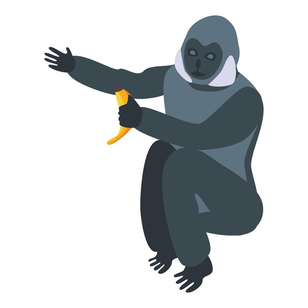 Banana gibbon icon, isometric style vector