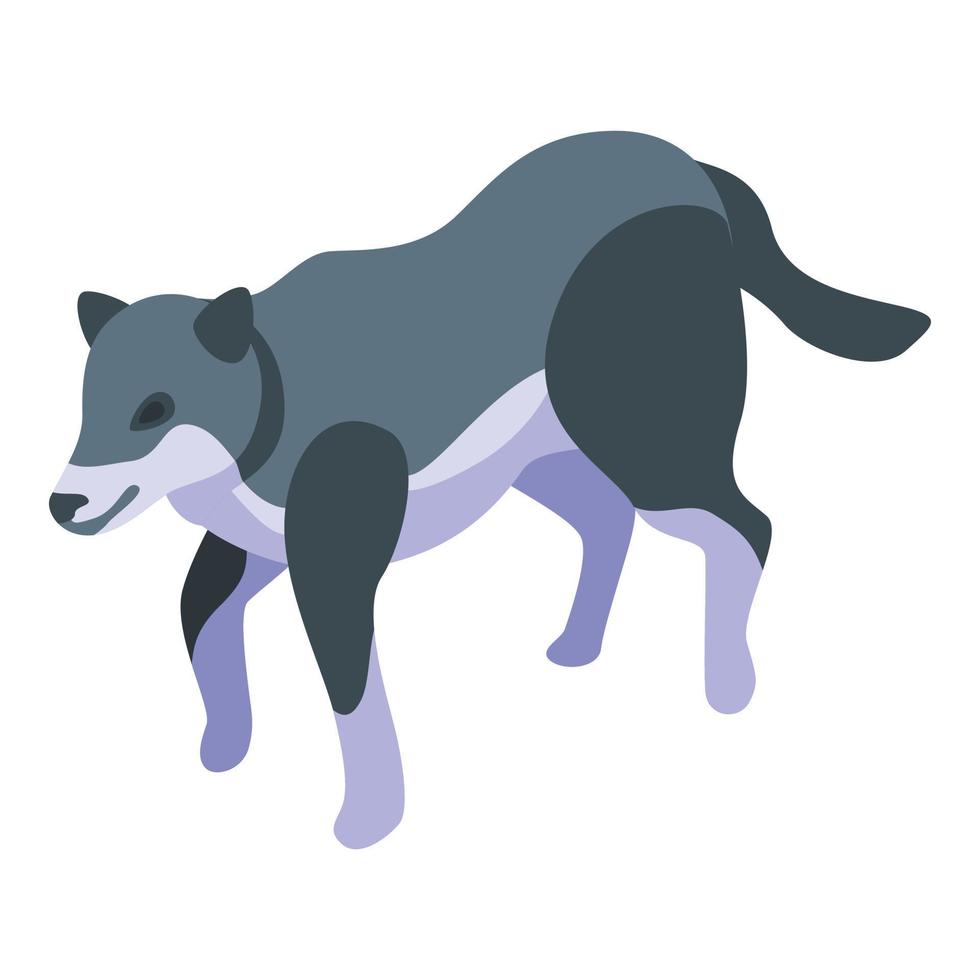 Forest wolf icon, isometric style vector