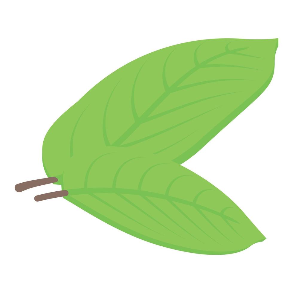 Tree leaves icon, isometric style vector