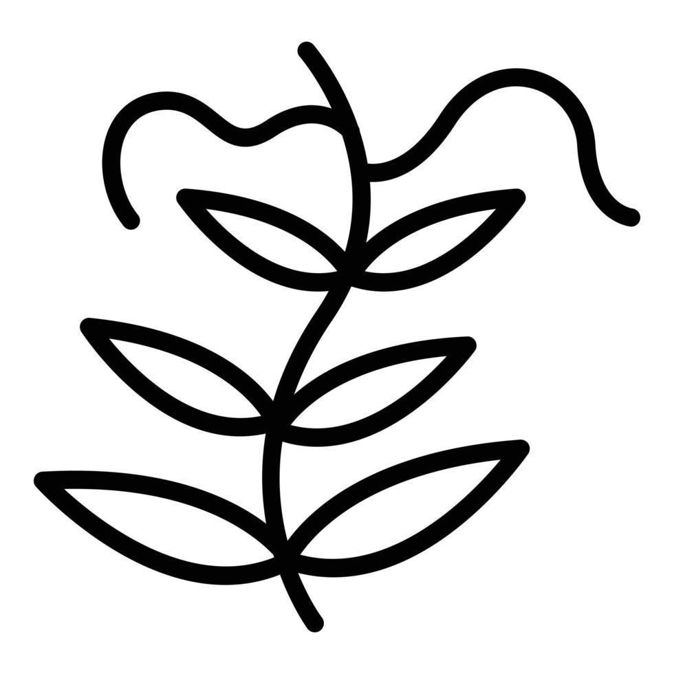 Lentil garden plant icon, outline style vector