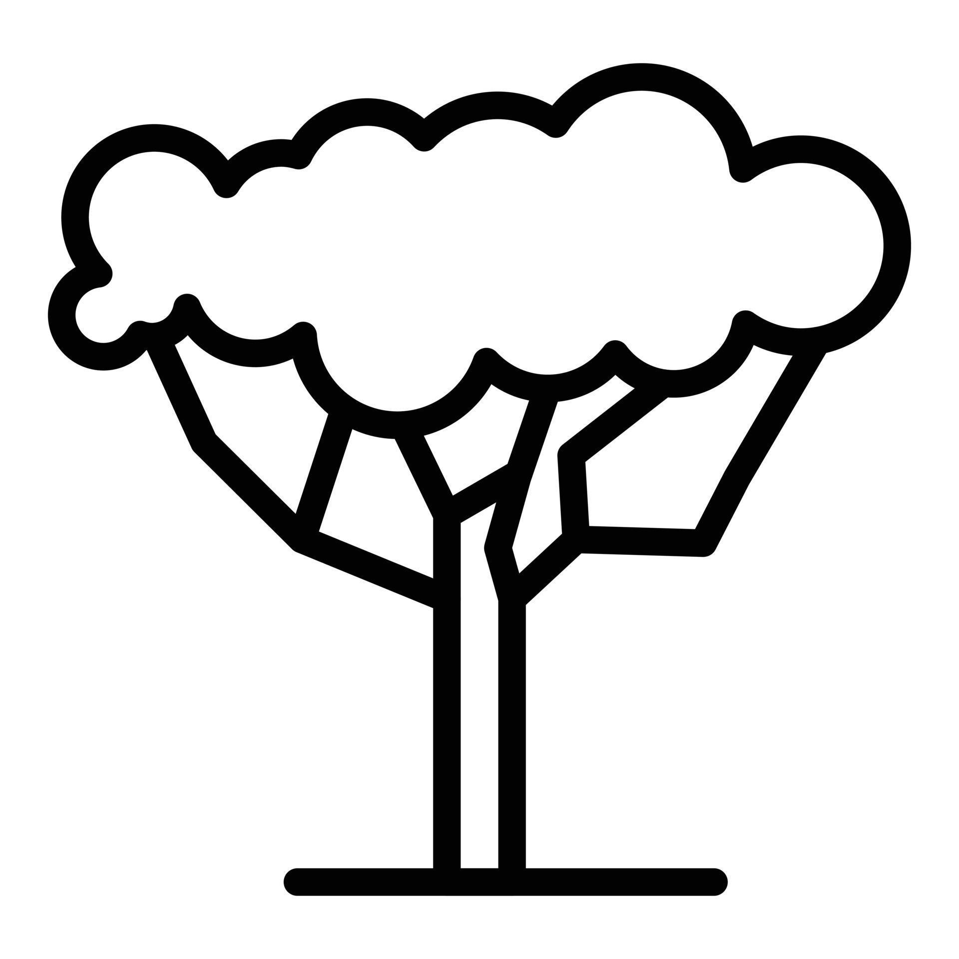 Safari tree icon, outline style 15892776 Vector Art at Vecteezy