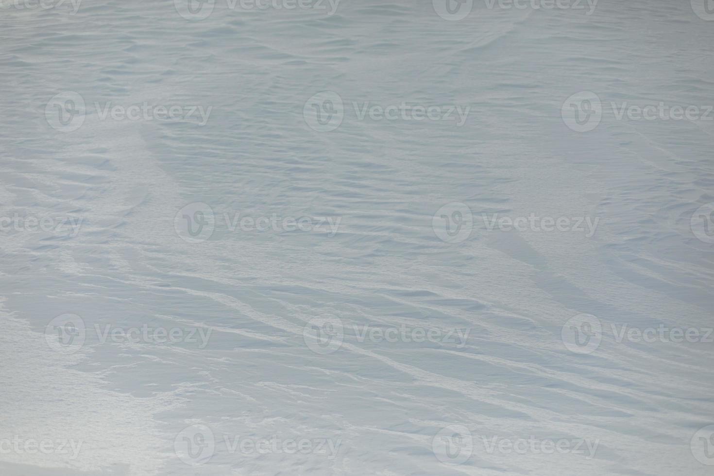 Texture of snow. Background is snowy plain. photo