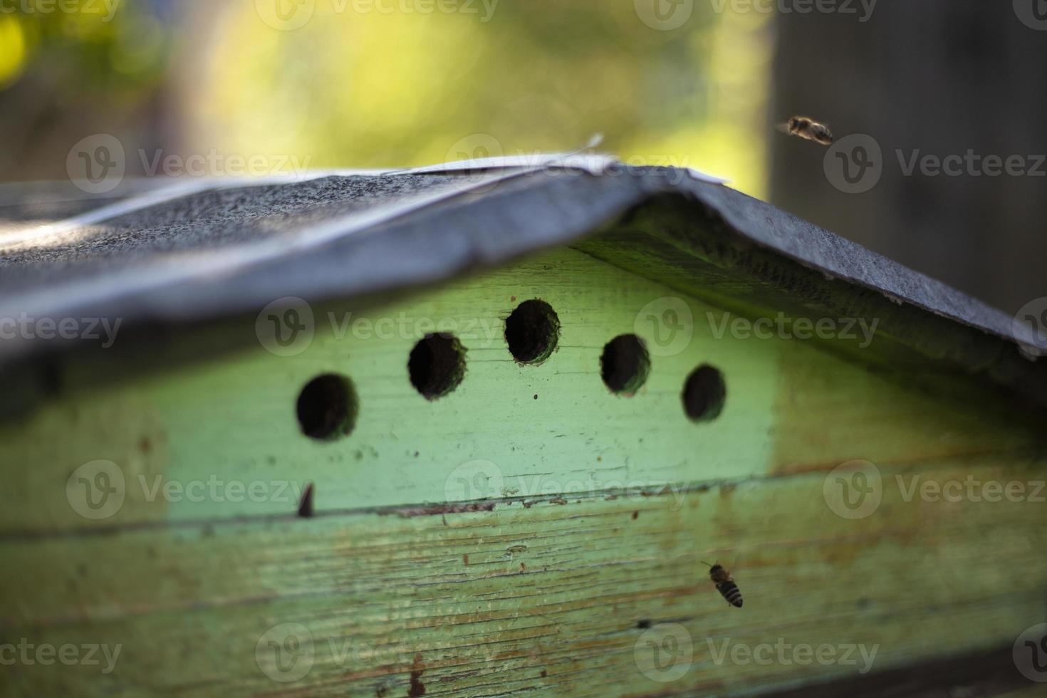 Details of apiary. House for bees. Holes for bees. Creating honey on farm. photo
