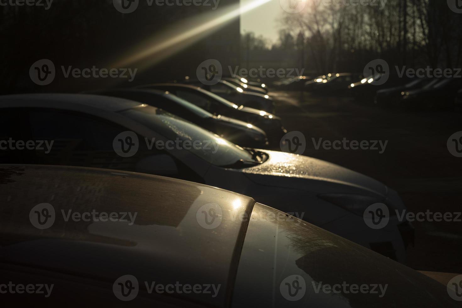 Parking in city. Parking light. Cars in yard. photo