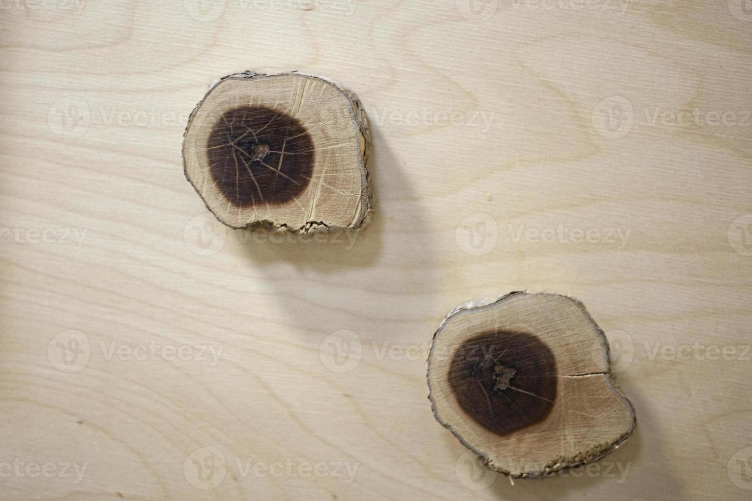 Wood texture. Beautiful pattern in wood. Natural background from a plant. photo