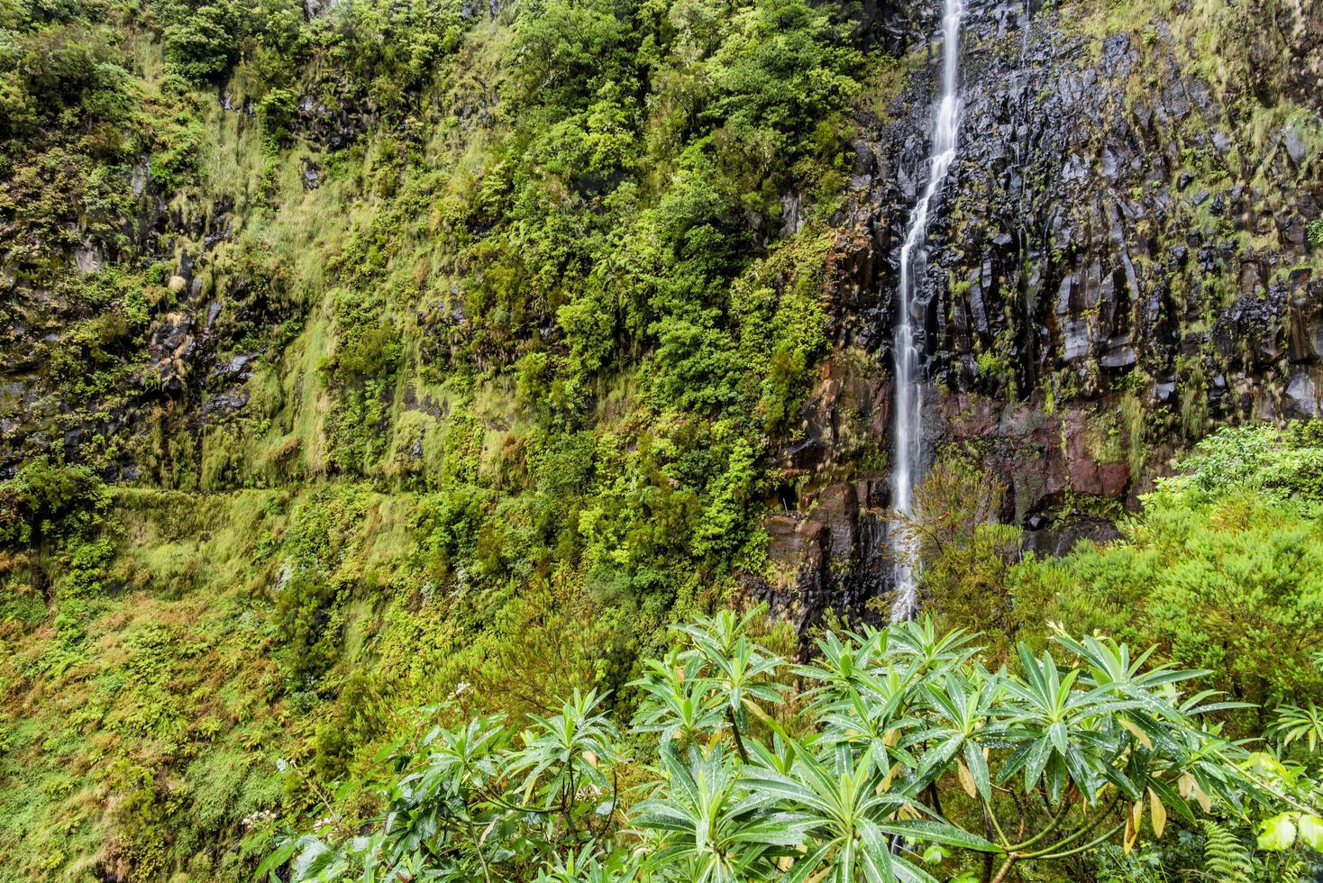 2022 08 17 Madeira levada 9 photo