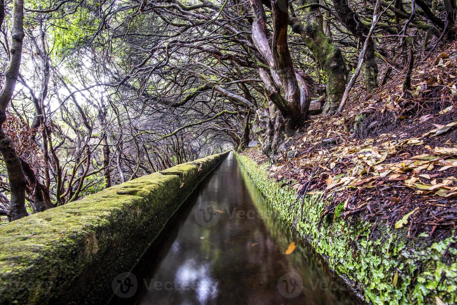 2022 08 17 Madeira levada 7 photo