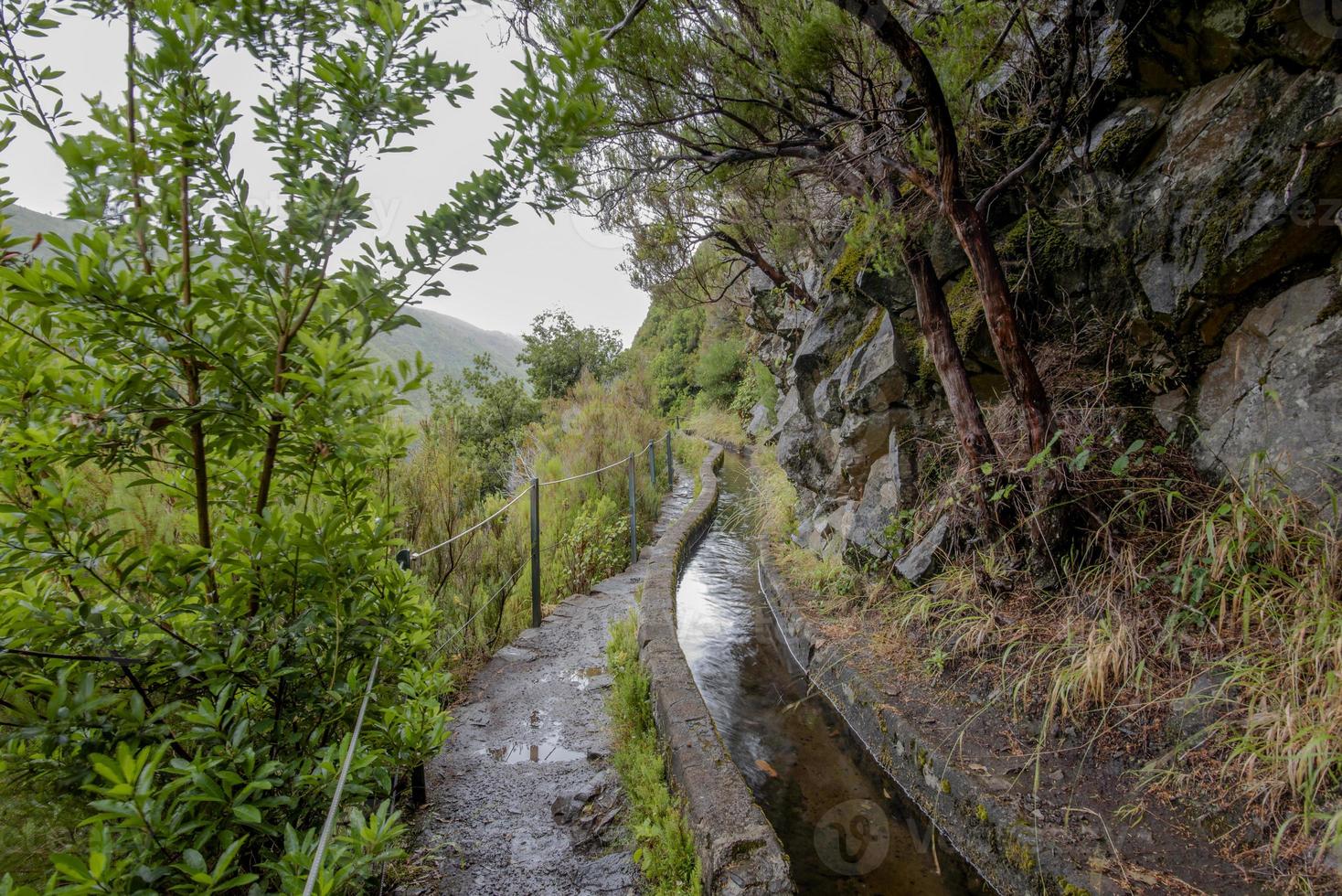 2022 08 17 Madeira levada 2 photo