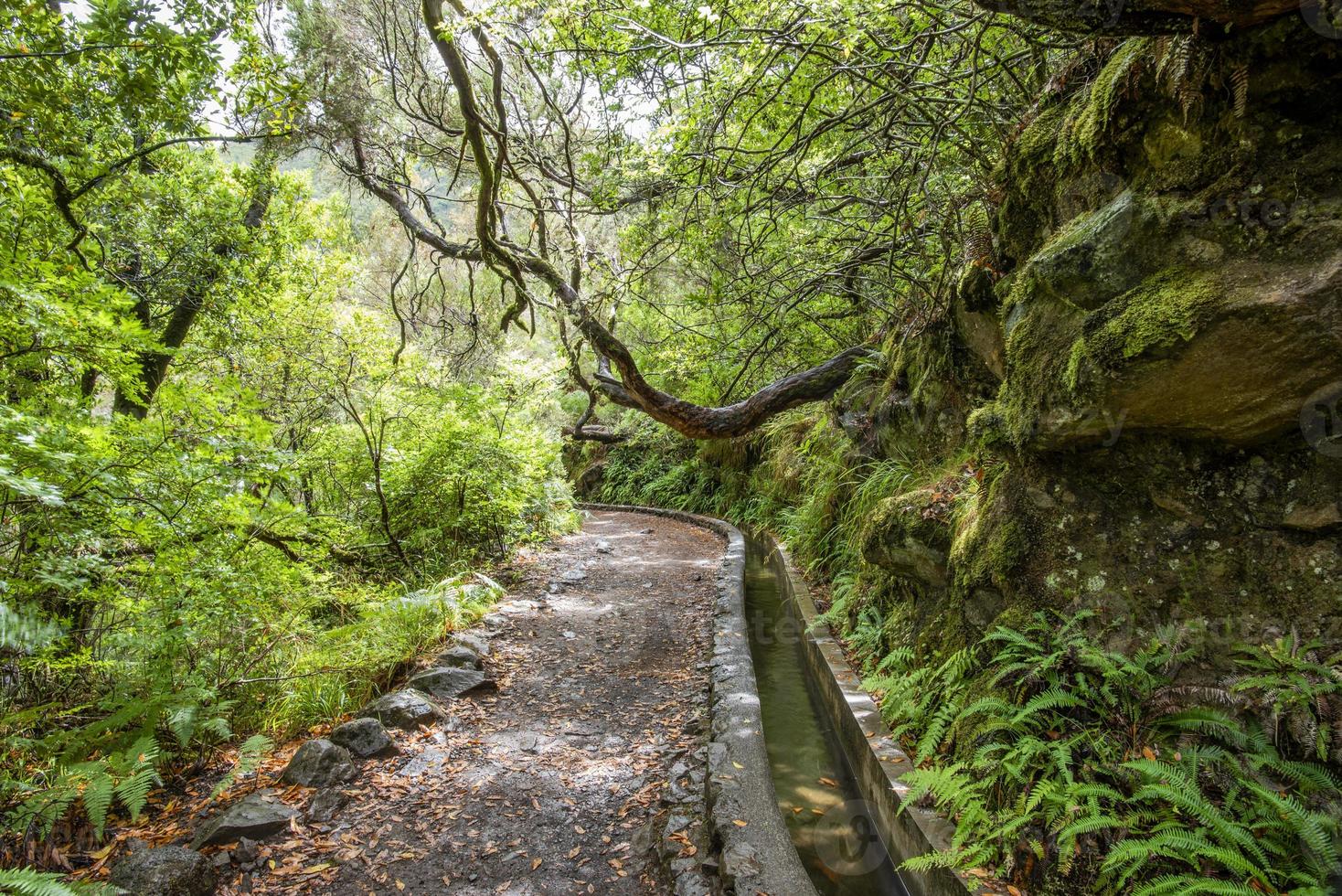 2022 08 17 Madeira levada 11 photo