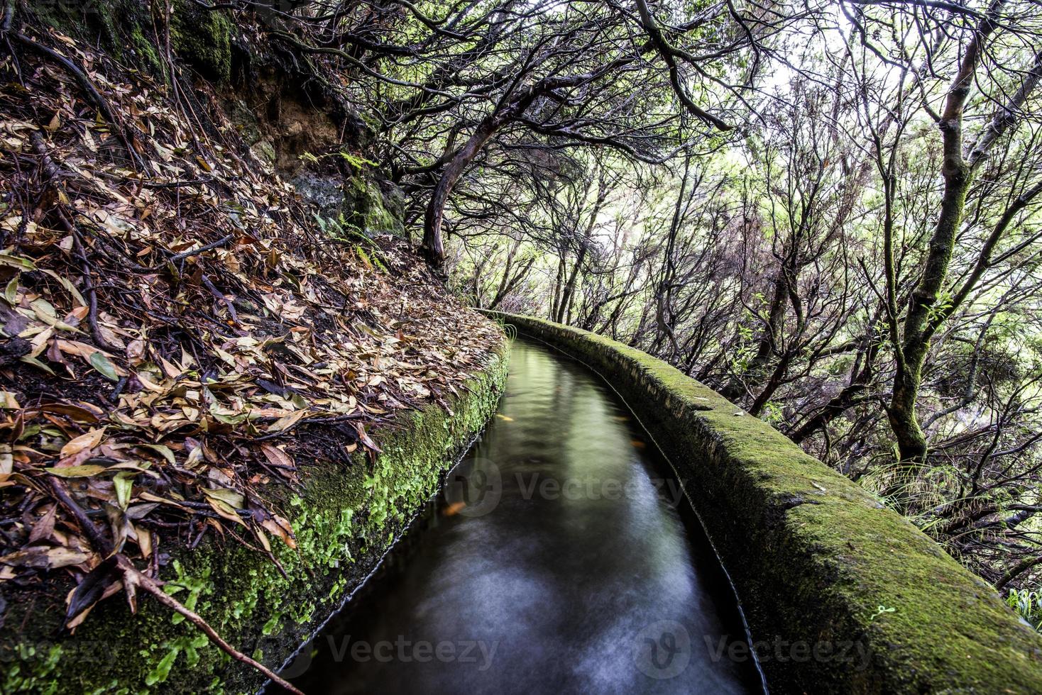 2022 08 17 Madeira levada 6 photo