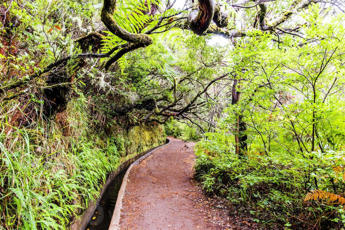 2022 08 17 Madeira levada 23 photo