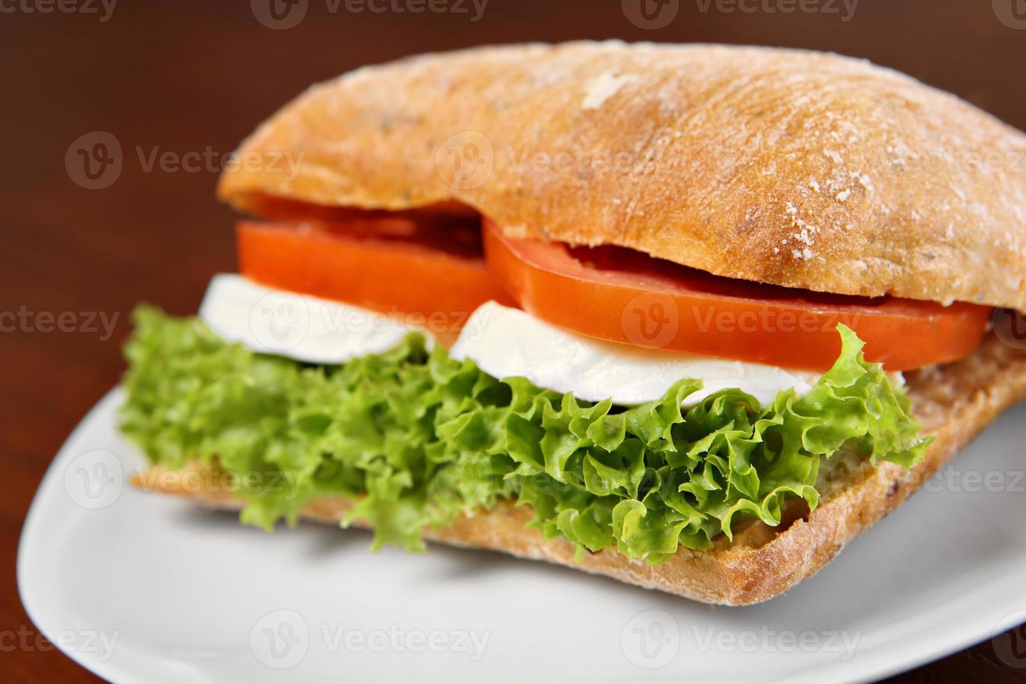Mozzarella sandwich close-up photo