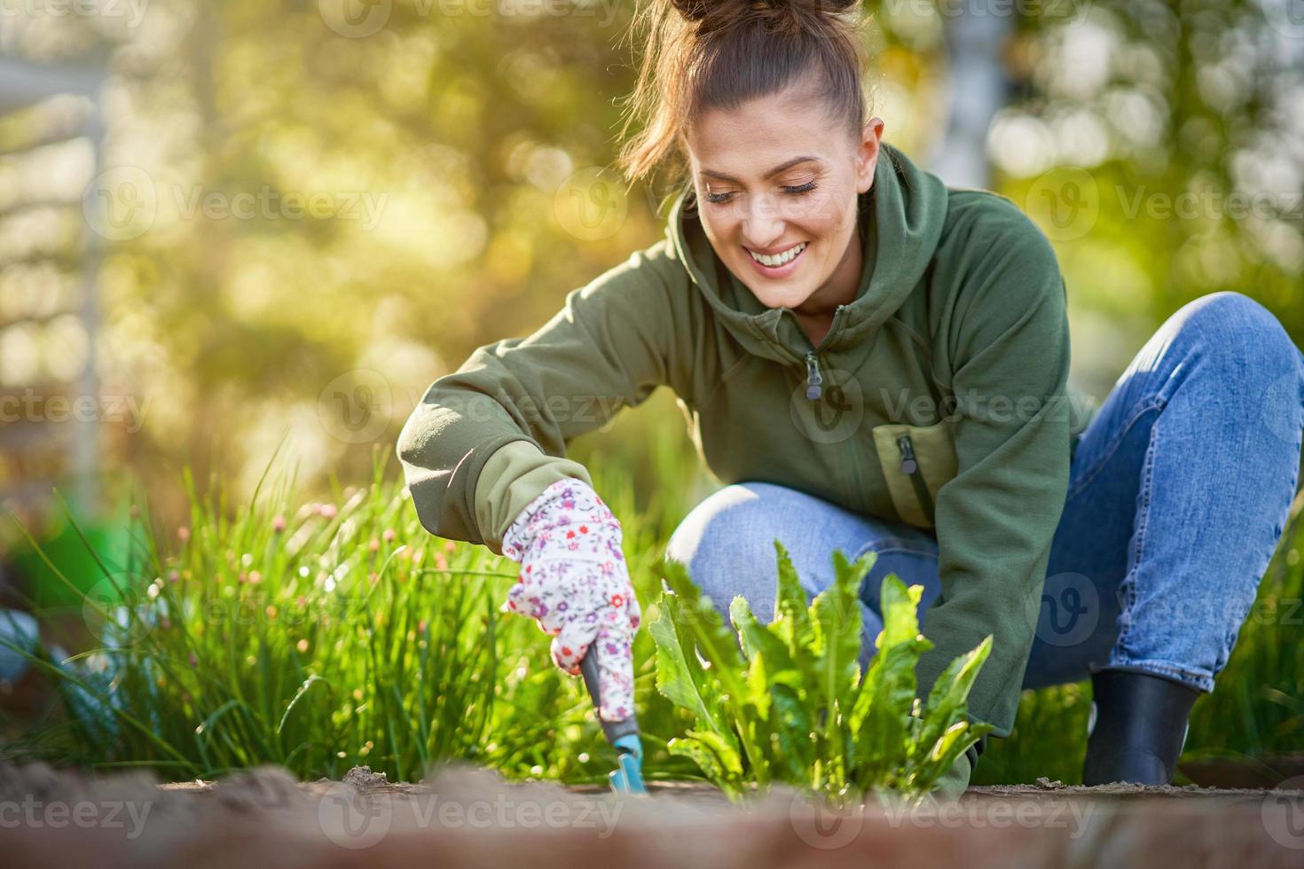 Picture of woman working with tools in the garden photo