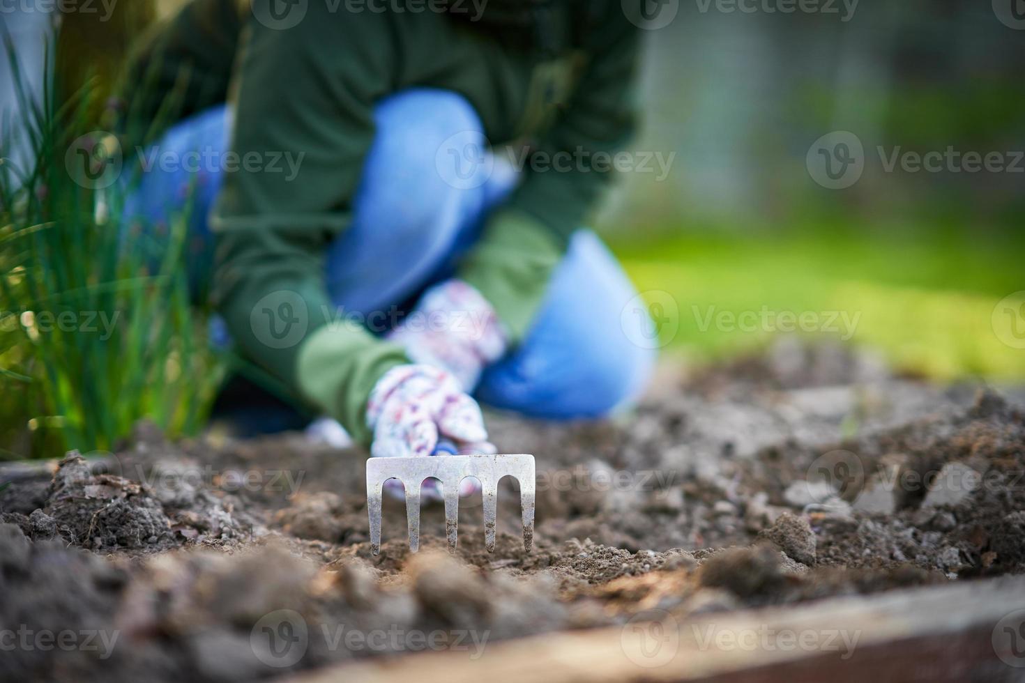 Picture of woman working with tools in the garden photo