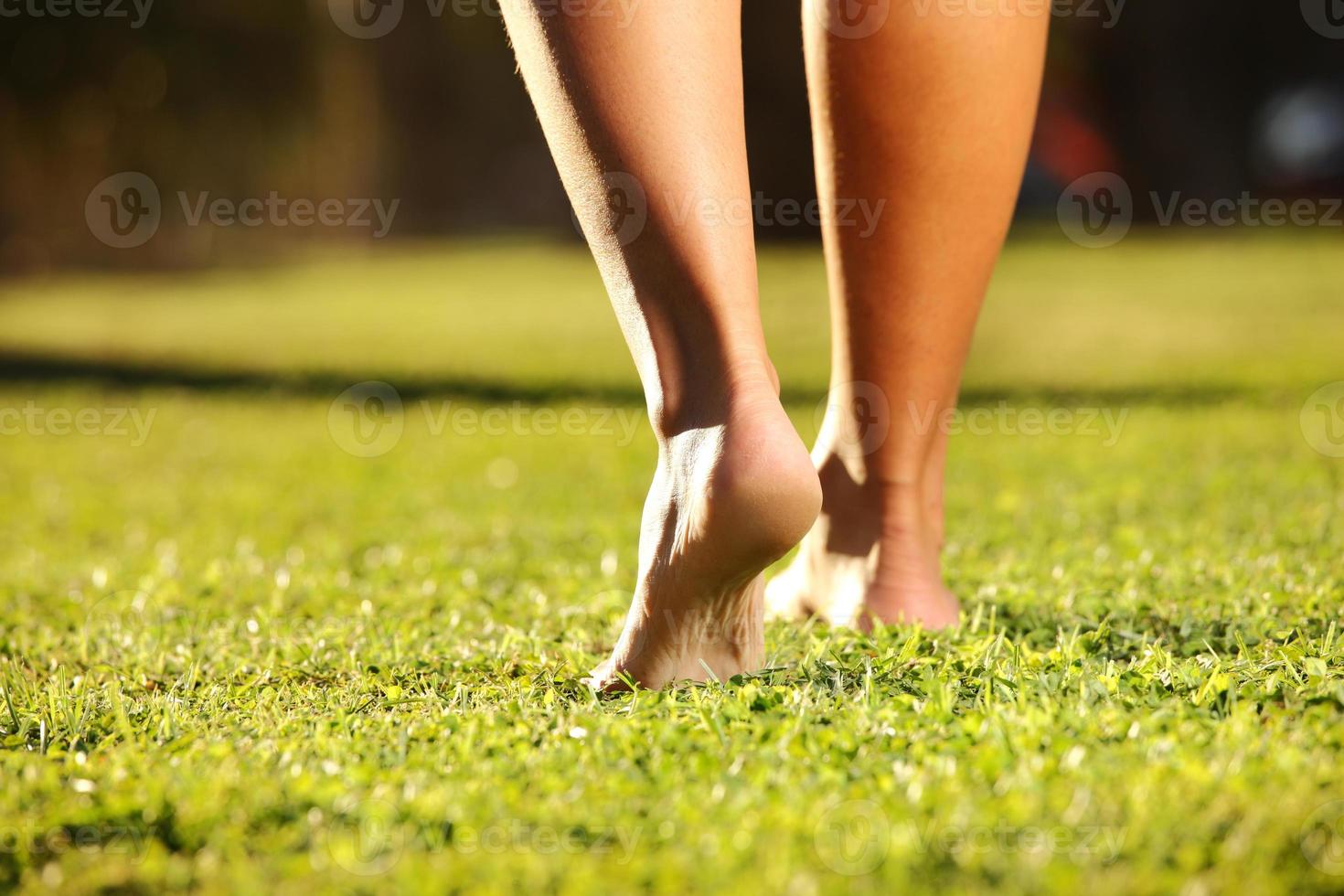 Legs on the grass photo