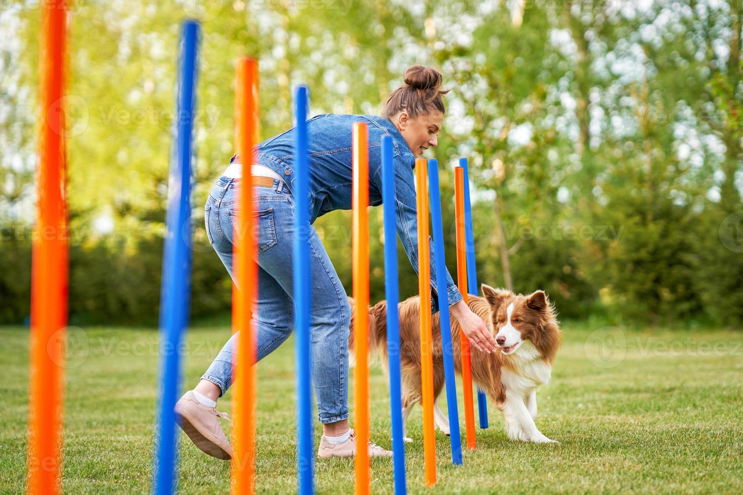 Chocolate White Border Collie with woman owner photo