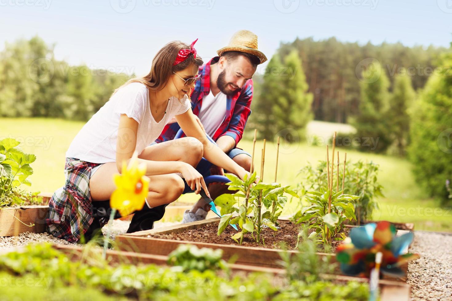 pareja joven plantando vegetales orgánicos foto