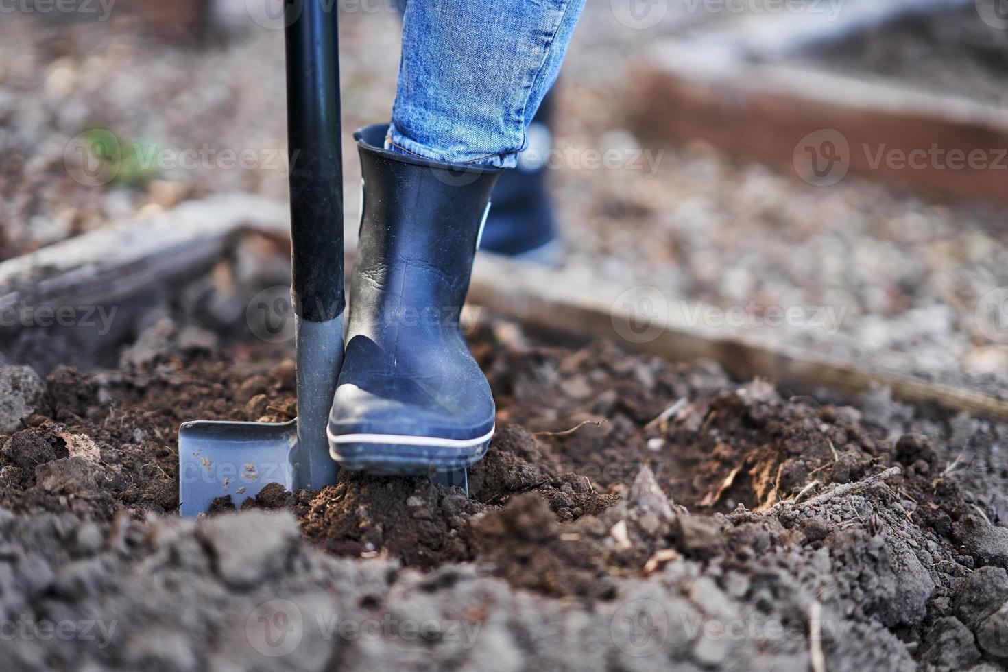 Young Happy woman with garden tools working photo