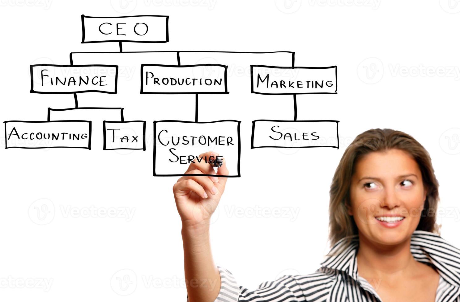 Young businesswoman presenting a business hierarchy photo