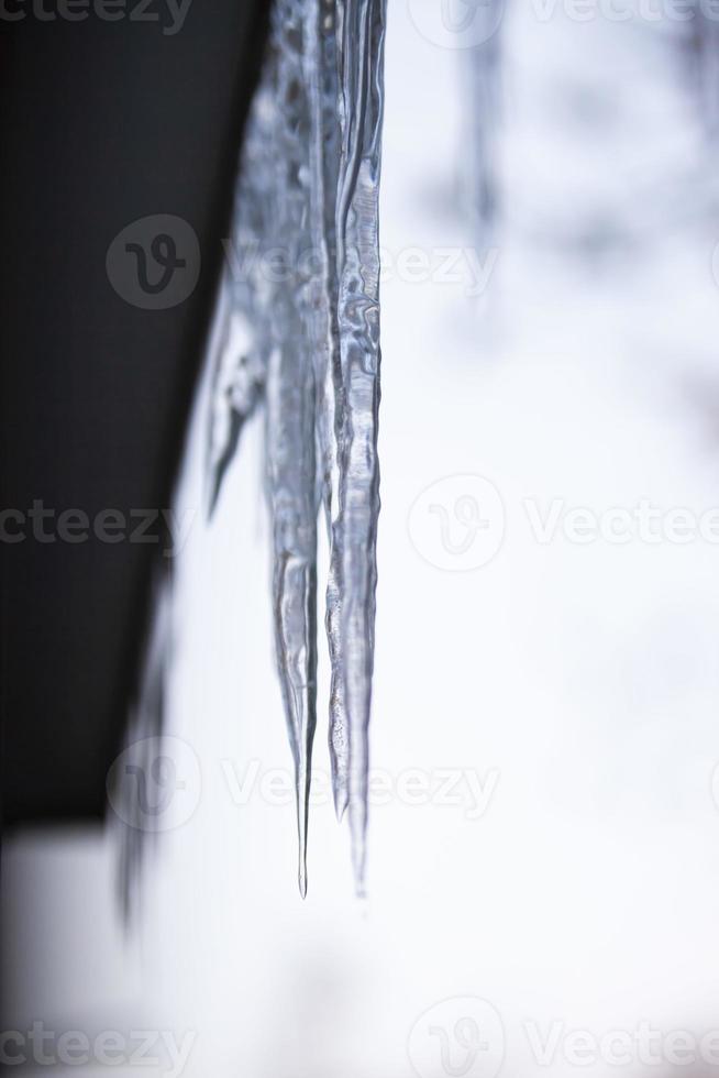 Glistening icicles hang on the ledge on a snowy day. Photo. Macro photo