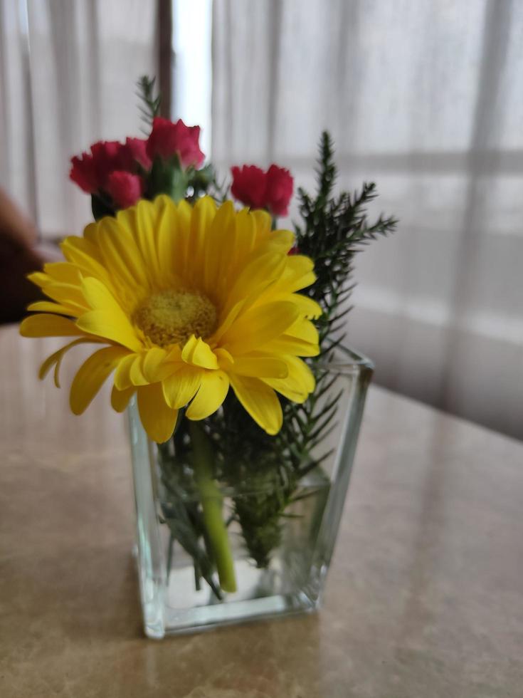 yellow Cosmos flower photo