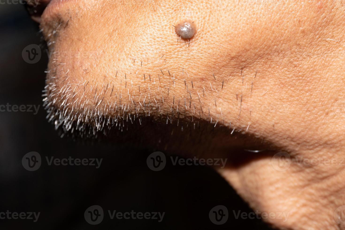 Asian Gray man's beard close up. photo