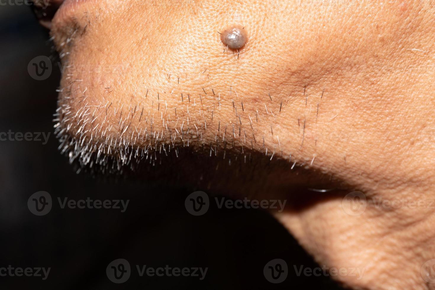 Asian Gray man's beard close up. photo