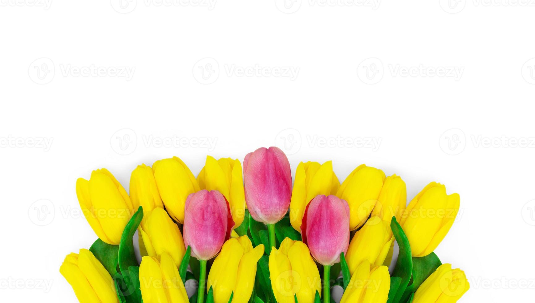 Big bouquet of yellow with pink tulips on white background. Congratulatory, floral card. Isolated photo