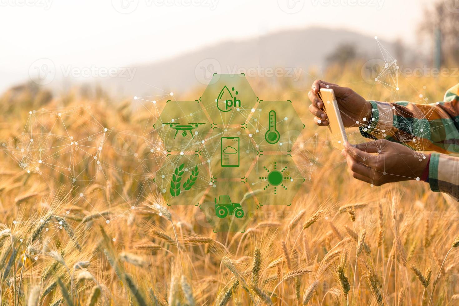 concepto de agricultura inteligente. agricultor con tableta digital de tecnología en el fondo del campo de trigo. los agricultores profesionales utilizan Internet de las cosas iot sistemas informáticos para administrar granjas. idea moderna de agricultura. foto