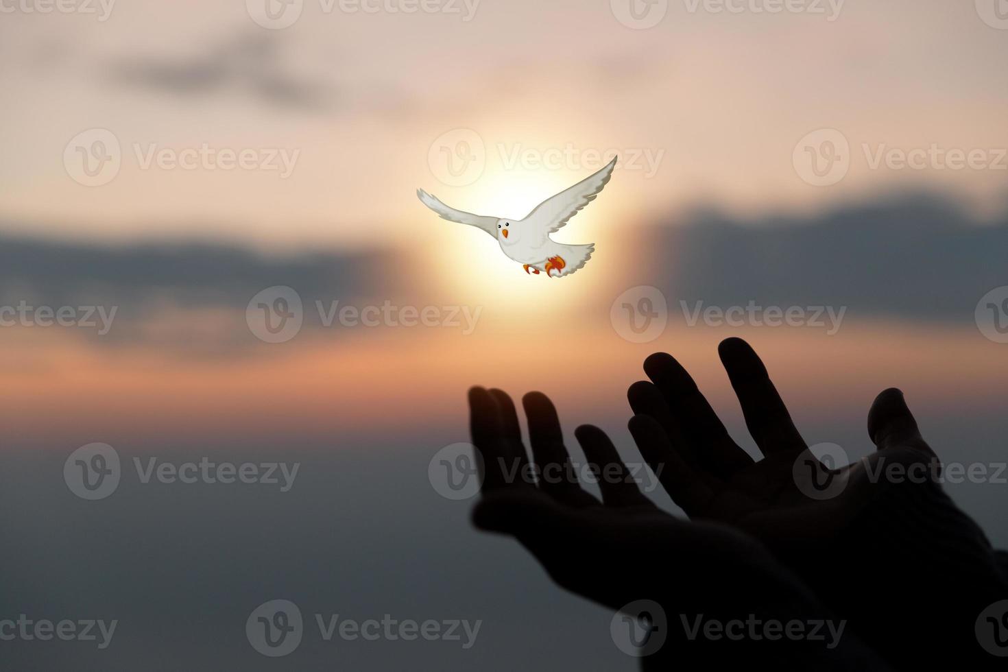 Silhouette of woman hand praying spirituality and religion, female worship to god. banner with copy space. Religious people are humble to God. Christians have hope faith and faith in god. photo