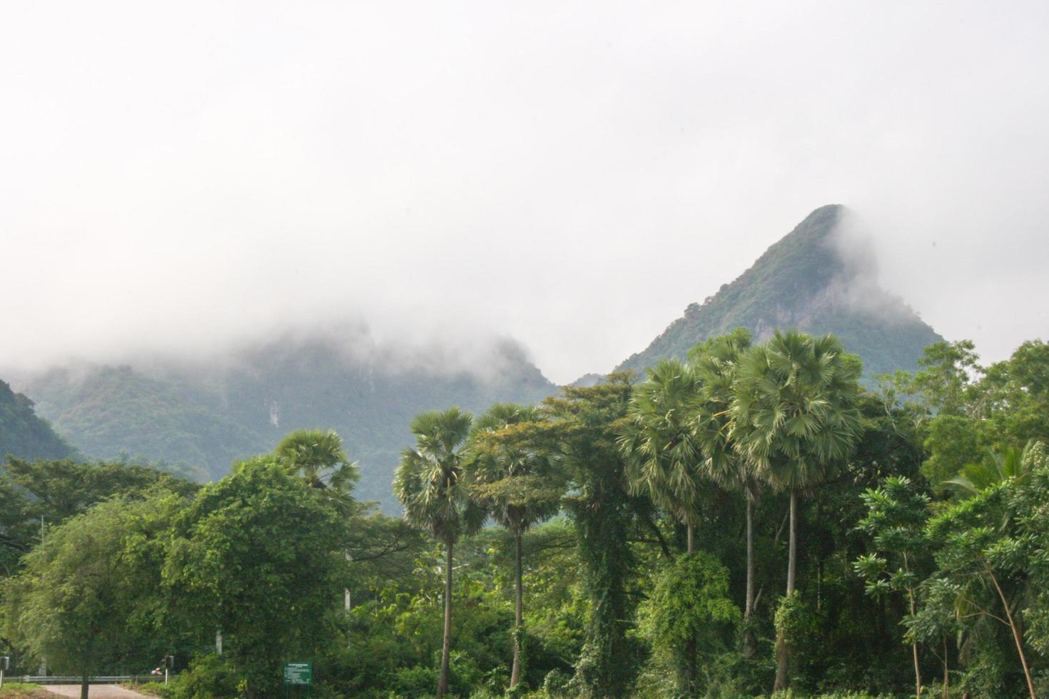 Scenery and morning fog in southern Thailand photo