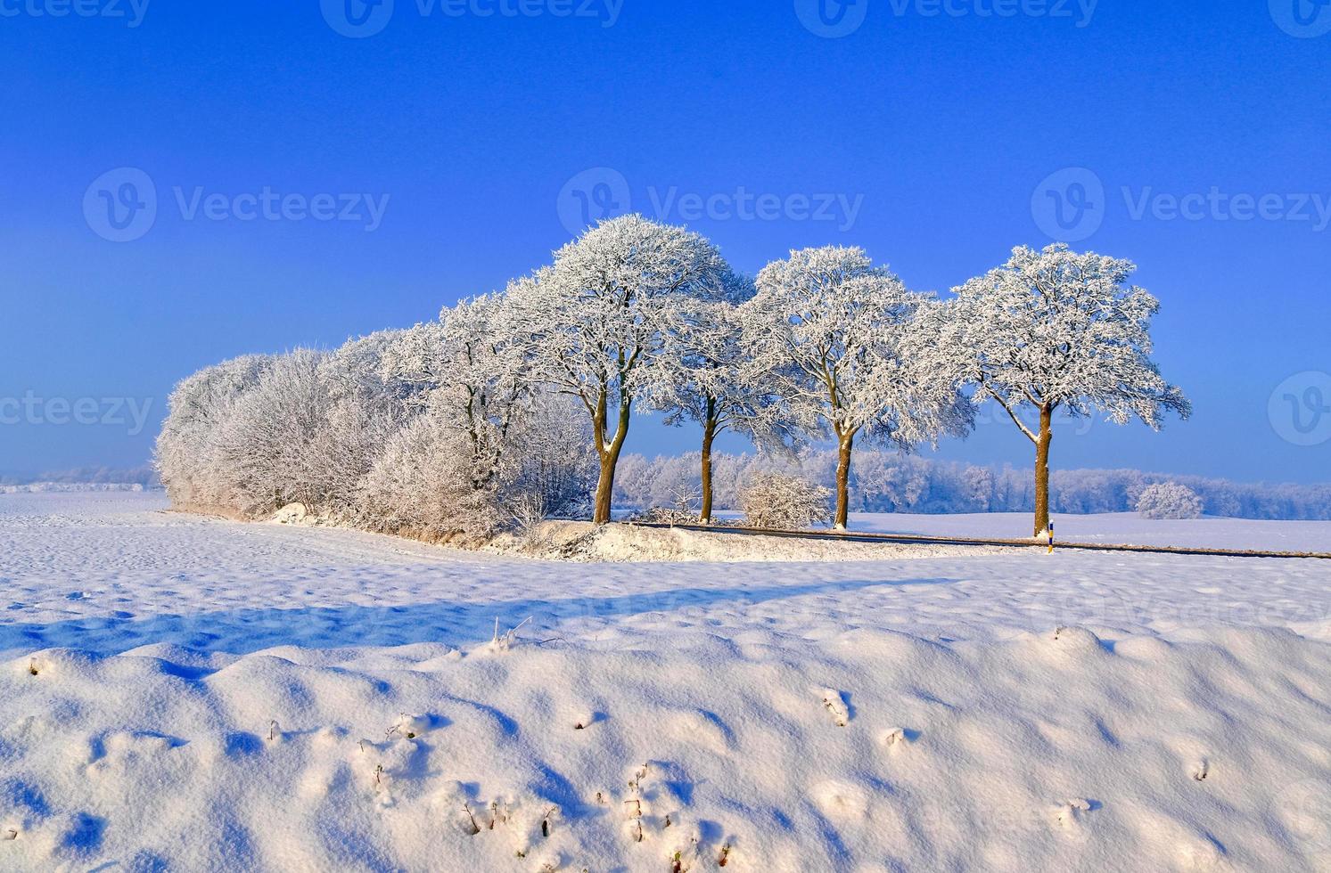 View of a snow-covered country road in winter with sunshine and blue sky. photo