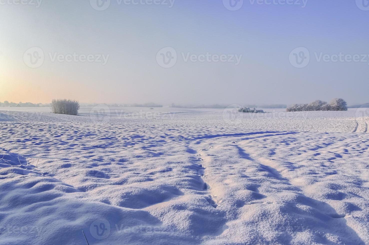 A white snow-covered piece of farmland in winter on a sunny day. photo