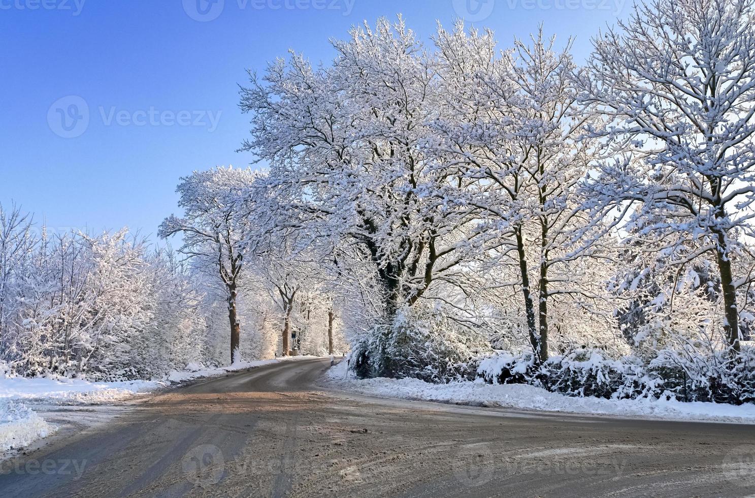 View of a snow-covered country road in winter with sunshine and blue sky. photo