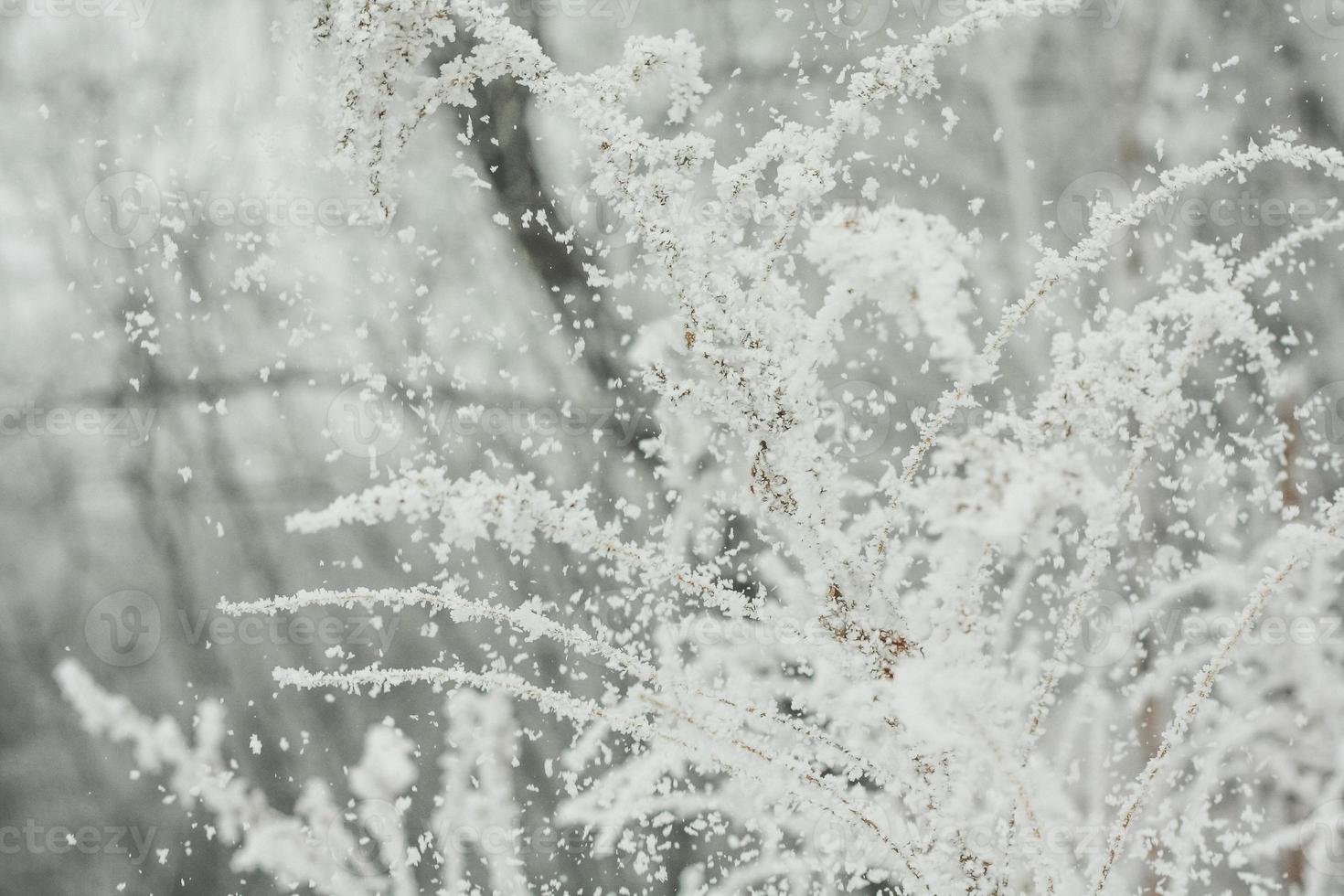 Close up hoar frost crystals flying in air concept photo