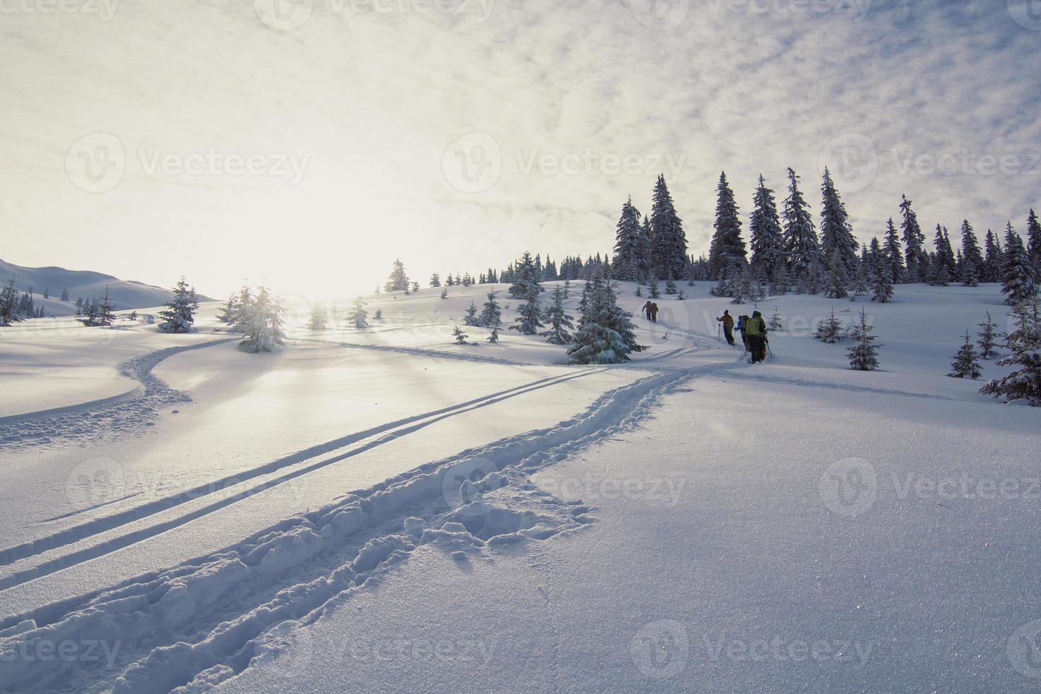Skiers leaving trails behind on snow landscape photo