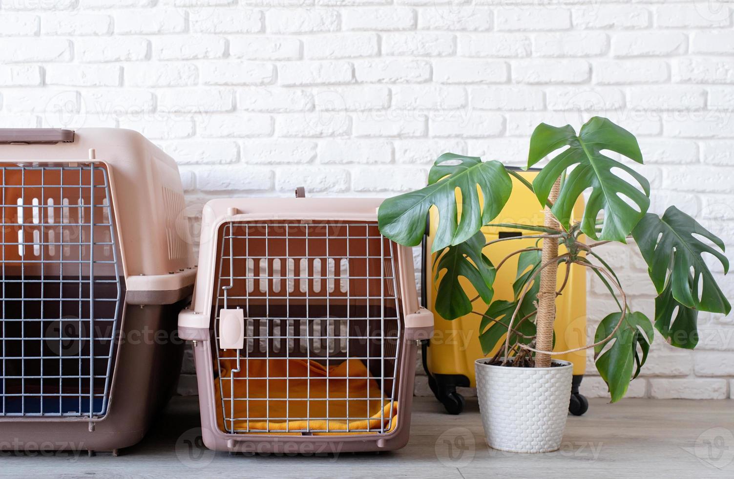 pet corner plastic pet carrier or pet cage with yellow travel case on the floor at home photo