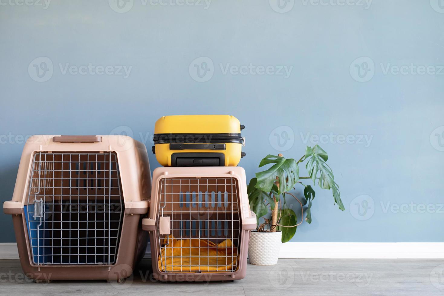 Plastic pet carrier or pet cage and yellow suitcase on the floor at home, copy space photo