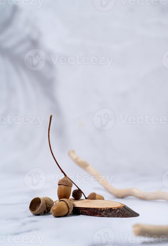 A minimalistic scene of a podium with wood and acorns on white background, for natural cosmetics photo