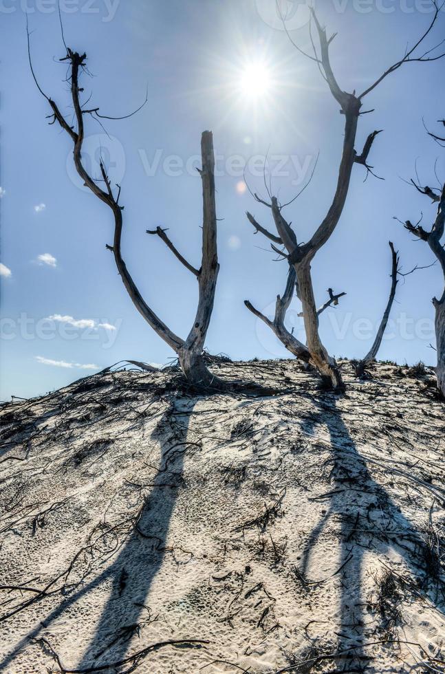 Bazaruto Island, Mozambique photo